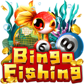 Câu Cá Bingo Nohu Nohu